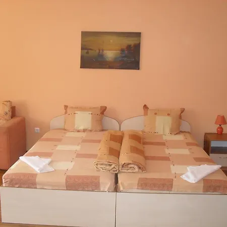 Guest house Petrovi 2*