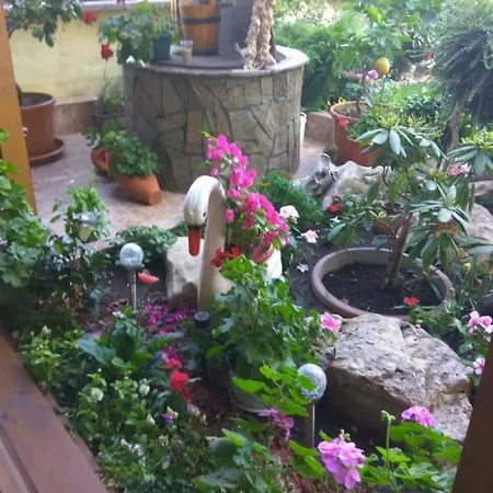Petrovi Guest house