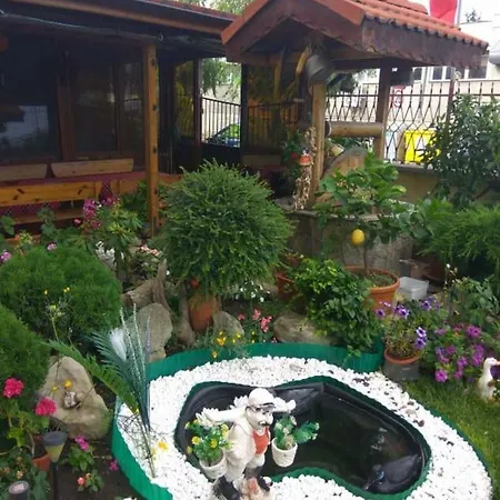 Petrovi Къща за гости Ахелой